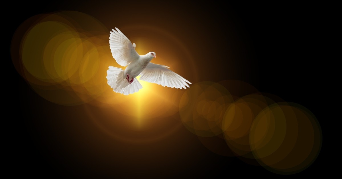 Quién es el Espíritu Santo y cómo nos ayuda? - Su Biblia
