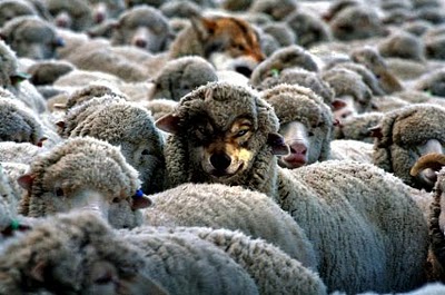 Como ovejas entre lobos | Radio Pentecostés RD